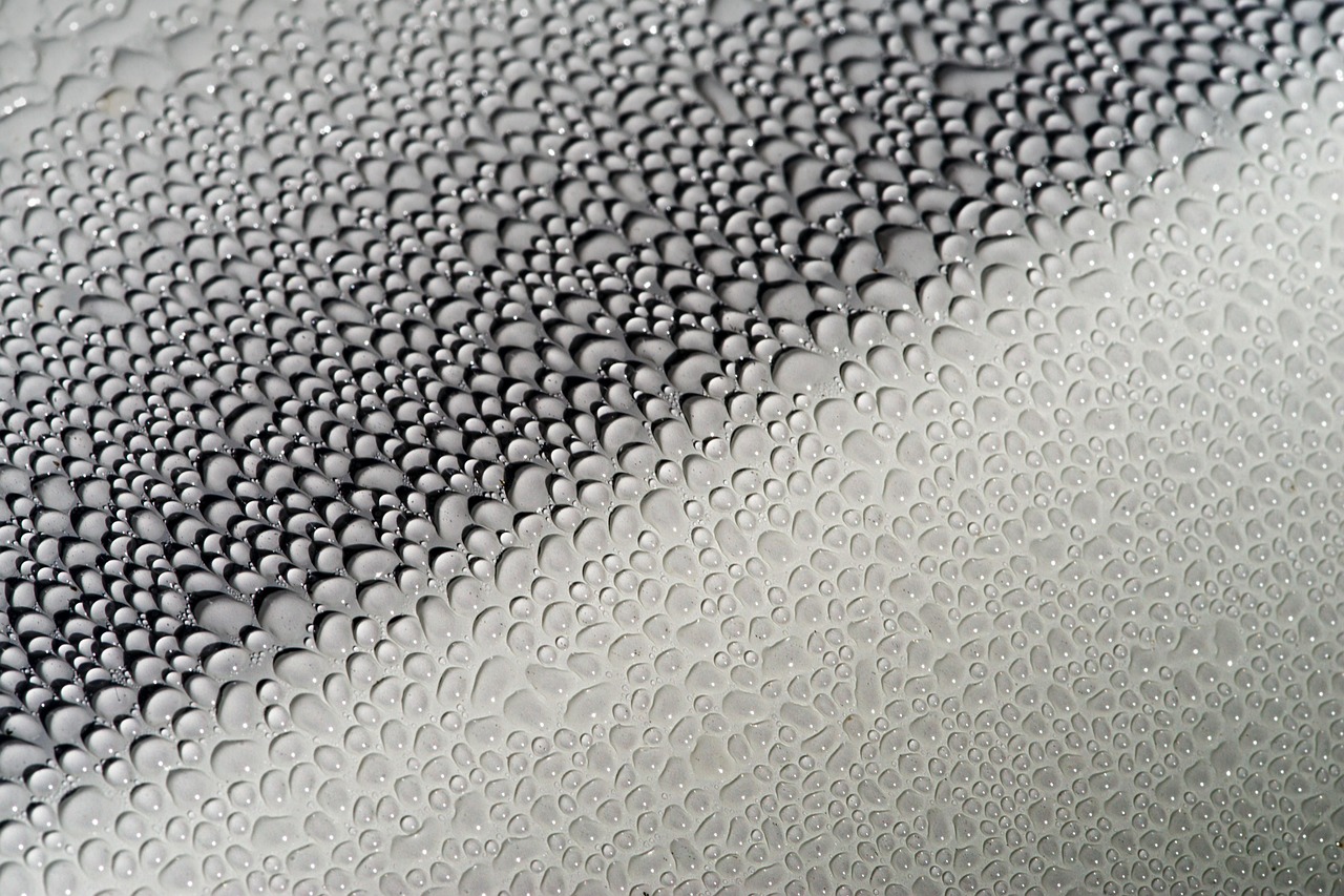 Close-up of professional ceramic coating application showing the high-gloss shine achieved